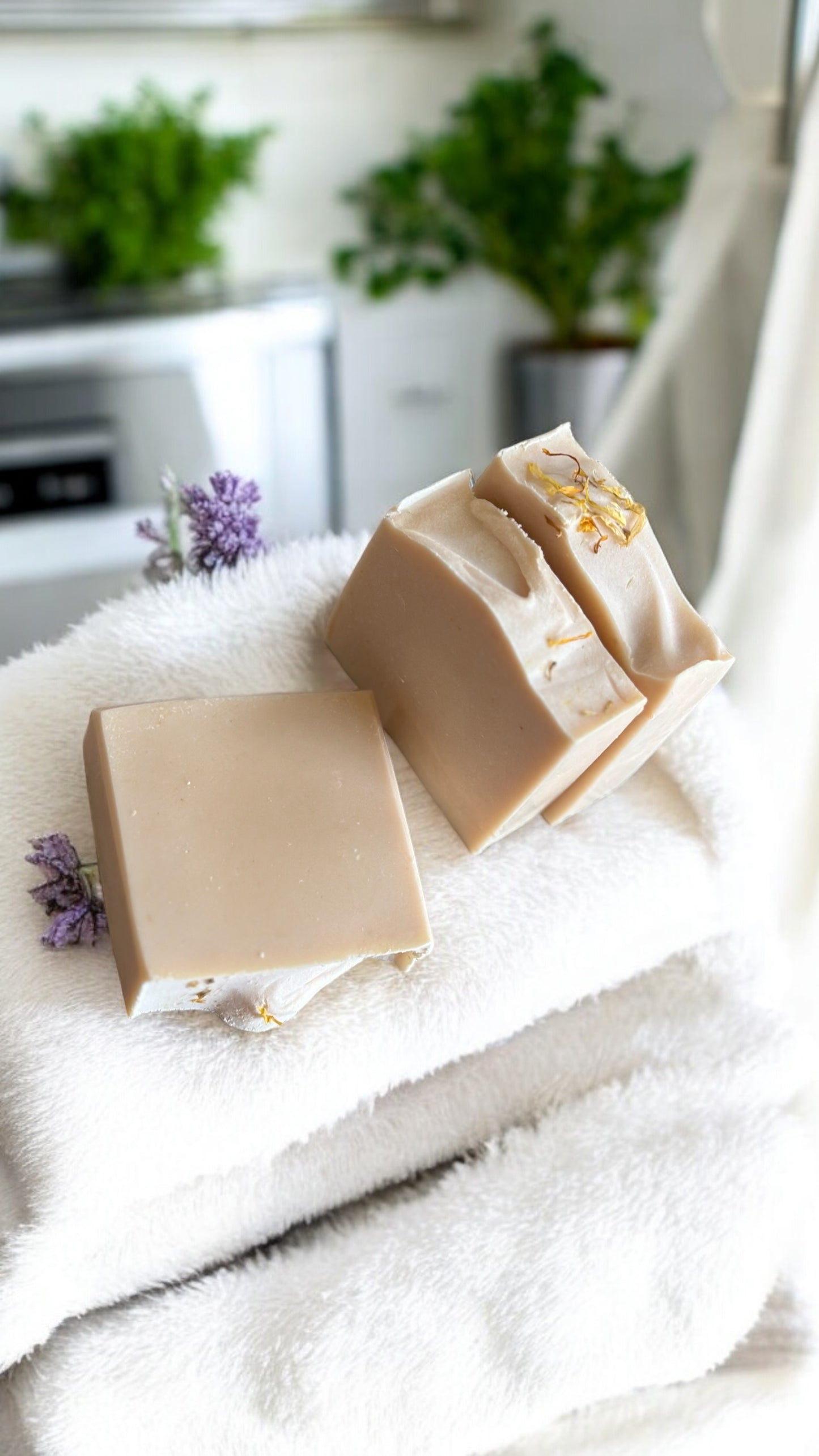 Tallow, shea & goat milk soap bar